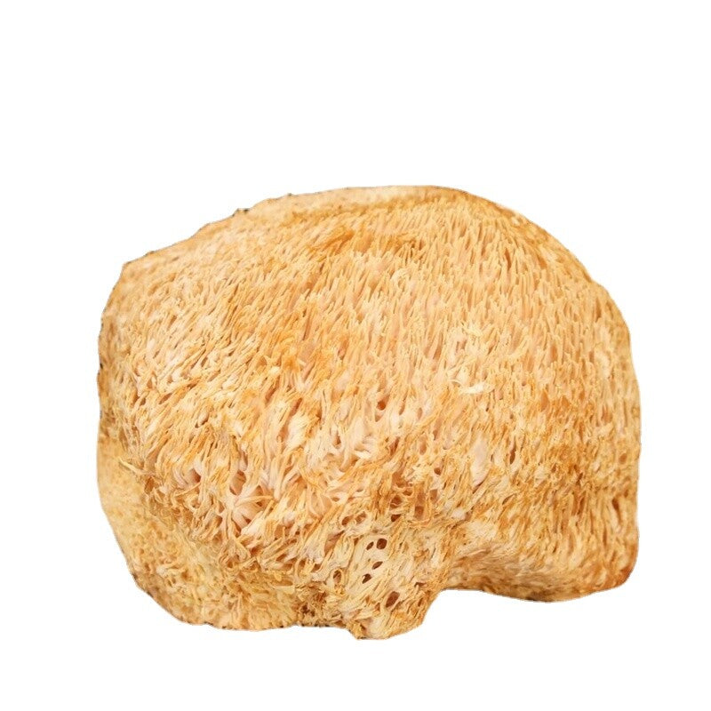 100% Bio Getrocknete Löwenmähne Pilz 500g – Natürliche Kräuter, Hochwertig