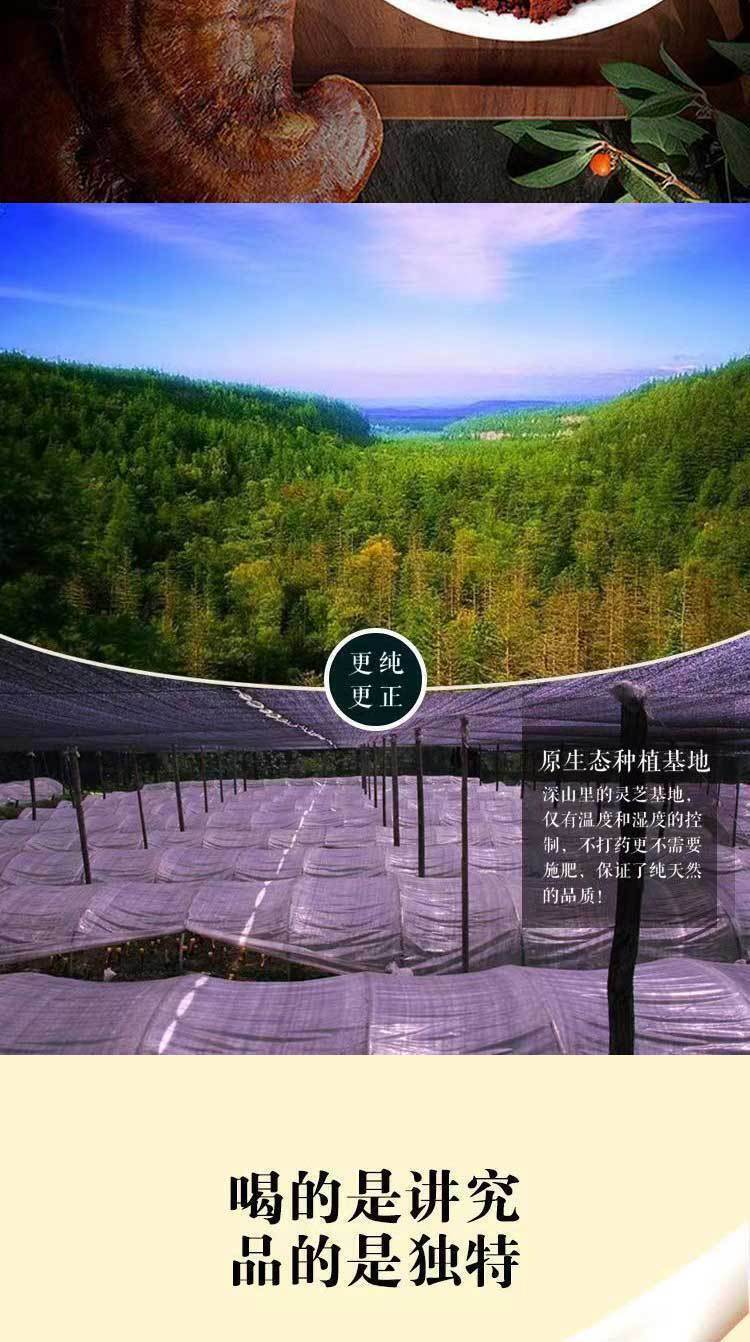 Changbai Mountain Ganoderma Spores Powder Basswood Ganoderma Spores Powder 100g