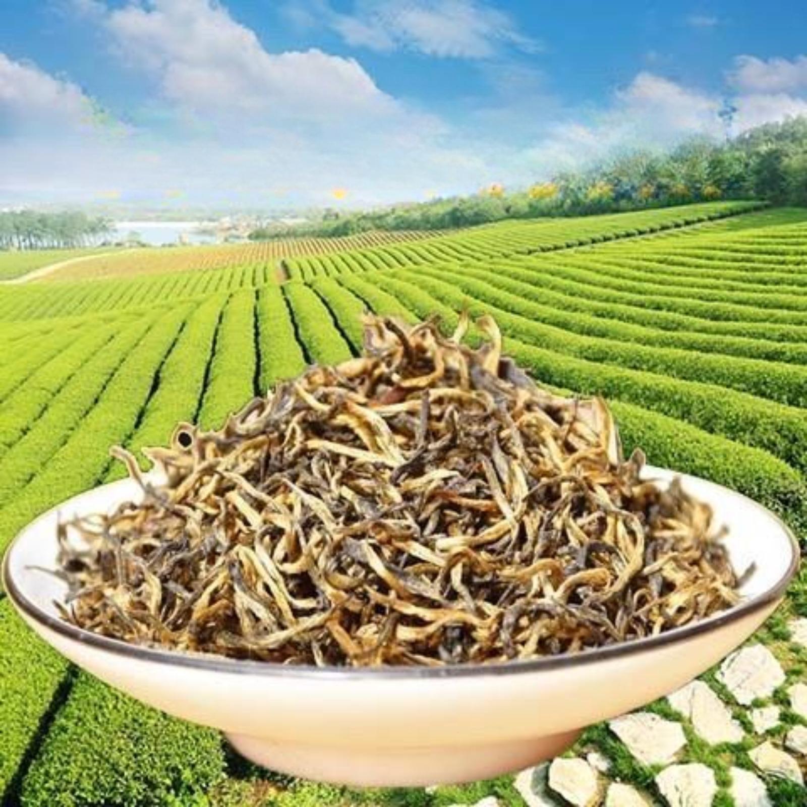 100g Zunyi Red Tea New Tea Guizhou Black Tea Healthy Drink Premium Grade