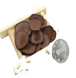 100%Natural Top Quality Red Deer Velvet Antler Slices / Lurong Slices 500g/8.8oz
