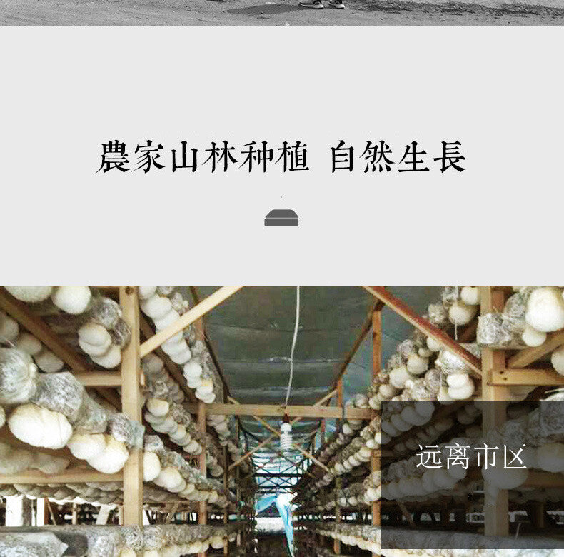 10KG Hericium Erinaceus New  Free Shipping Non-smoked Lion's Mane Mushroom