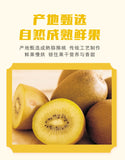 100g Snack Golden Kiwifruit Bulk,Shaanxi Yellow Kiwi Dried Fruit
