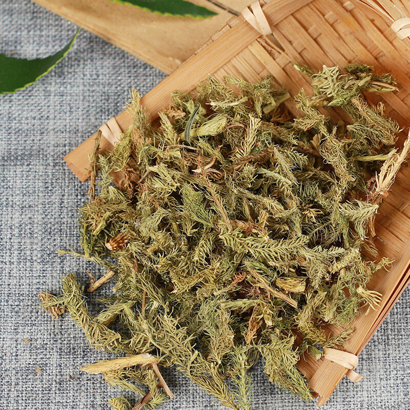 500g Shenjincao Healthy Original Herbal Tea Shujincao 精选伸筋草 舒筋草 Healthy Drink