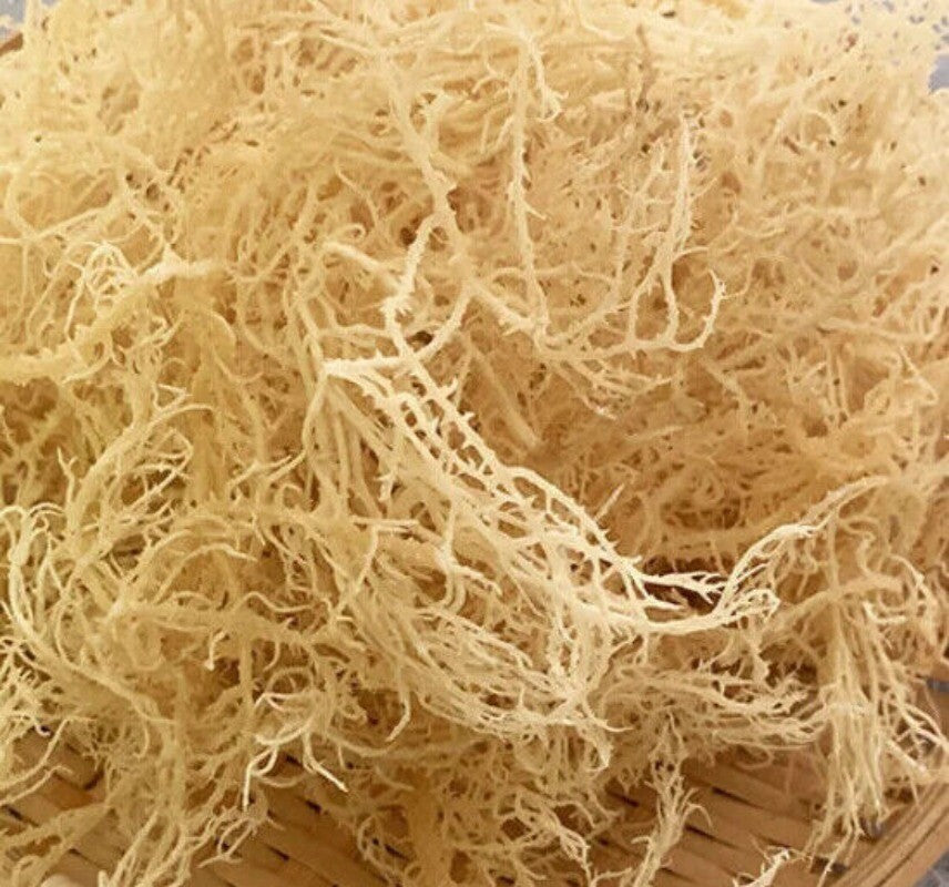 500g Sea Moss Raw Gold Irish Seamoss Natural Vegan Non-GMO Sundried Seaweed
