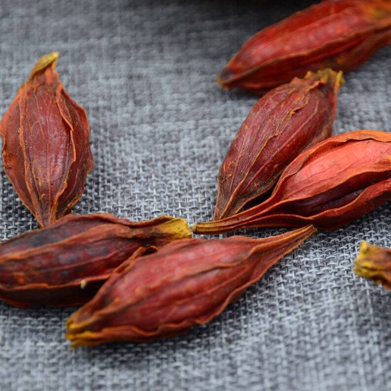 250g (8.8 oz) Dried Gardenia Fruit Zhi Zi Guo Shi, Fructus Gardeniae