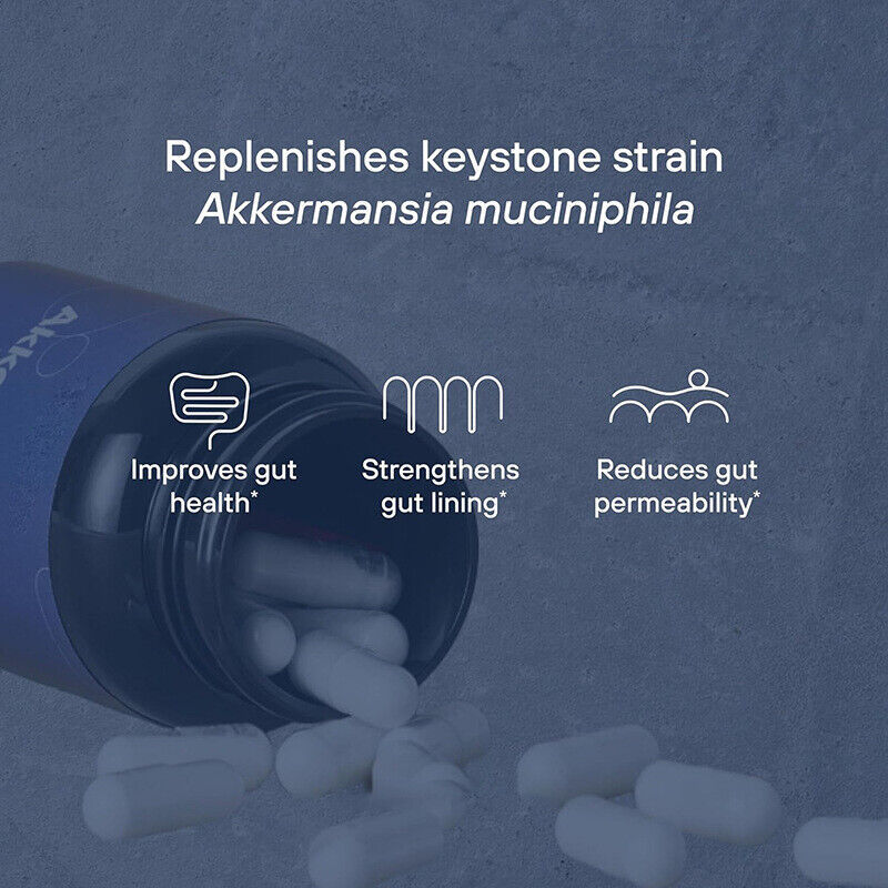 Akkermansia Muciniphila Probiotics Verbessert Immunität & Verdauung - 30 Kapseln