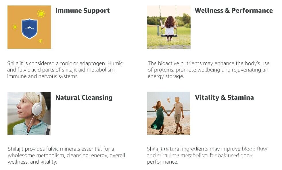 Shilajit Pure Boost Metabolismus Himalaya Extrakt Steroid90caps 200mg Organisch