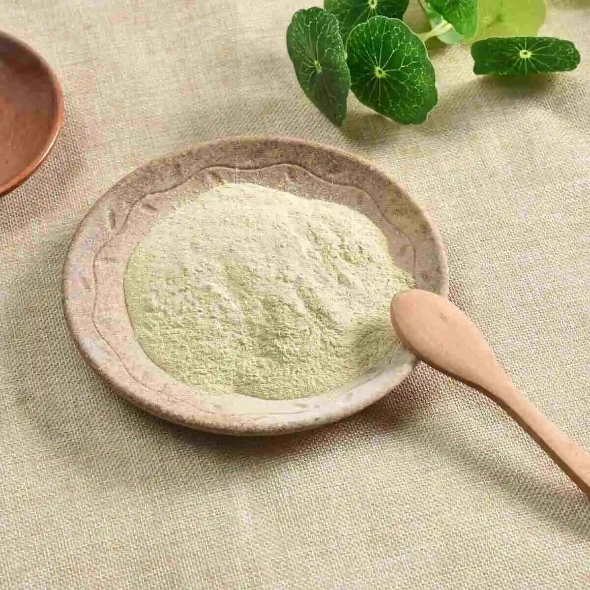 HELLOYOUNG Premium Freeze Dried Papaya Powder - Pure, Strong Flavour Taste