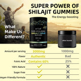 Be Bodywise Pure Himalayan Shilajit Gummies | With Ashwagandha, Gokshura & other