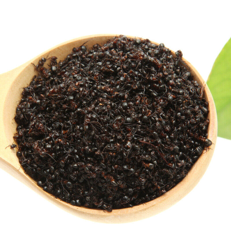 China Wild Chang Bai Shan Mountain Black Ant Vic Roger Polyrhachis Premuim 500g