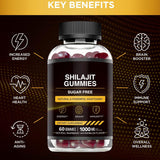 60 Gummies Pure Shilajit 1000mg Asphaltum Naturally Occurring Fulvic Acid NonGMO