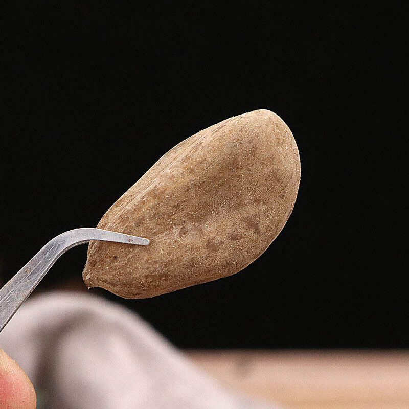 Chinese Herbal Medicine Schizandra chinensis Bacopa monnieri Warehouse500g/1.1lb