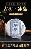 100g Yunnan Pu'er Tea Icelandic Raw Tea Cake Seven Seed Cake Tea Raw Pu'er Tea