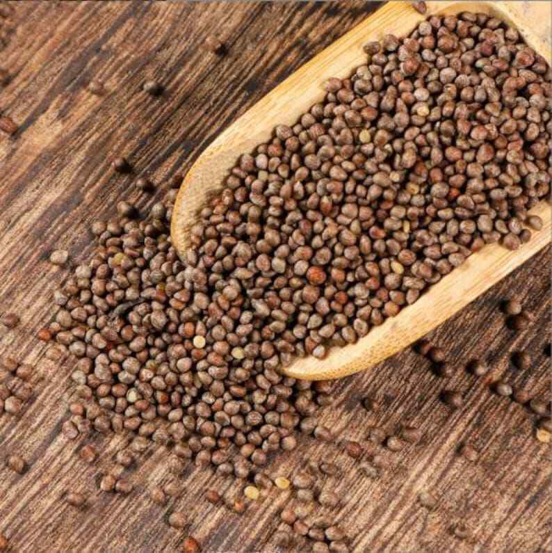 250g Dried Purple Perilla | Perilla Frutescens | Fructus Perilla seed | Zi Su