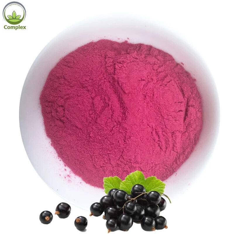 Best Quality Organic Black Currant Fruit Powder with Free Sample 250g