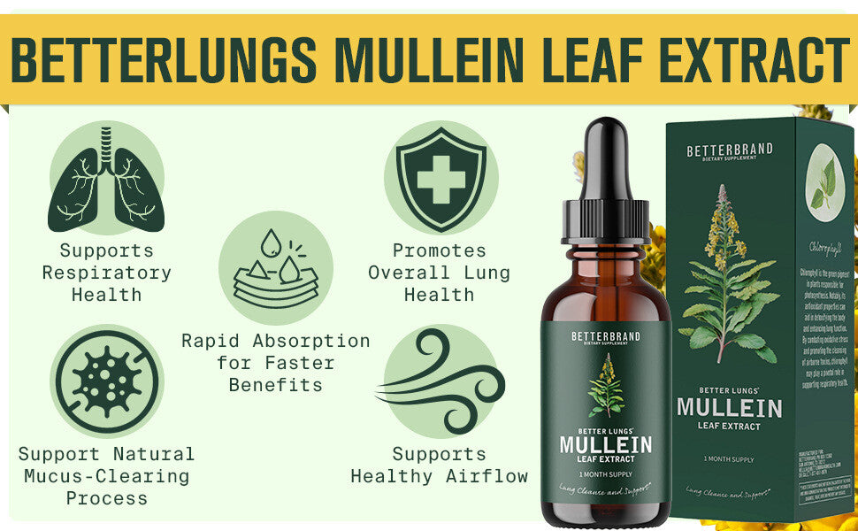 Support Lung Cleanse Mullein Leaf Extract Drops All-natürliche Zutaten
