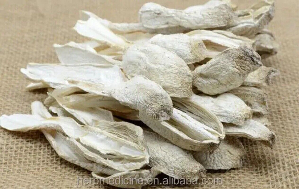 500g Organic Shaggy Mane Coprinus Comatus Mull Fr Gray Dried Mushroom
