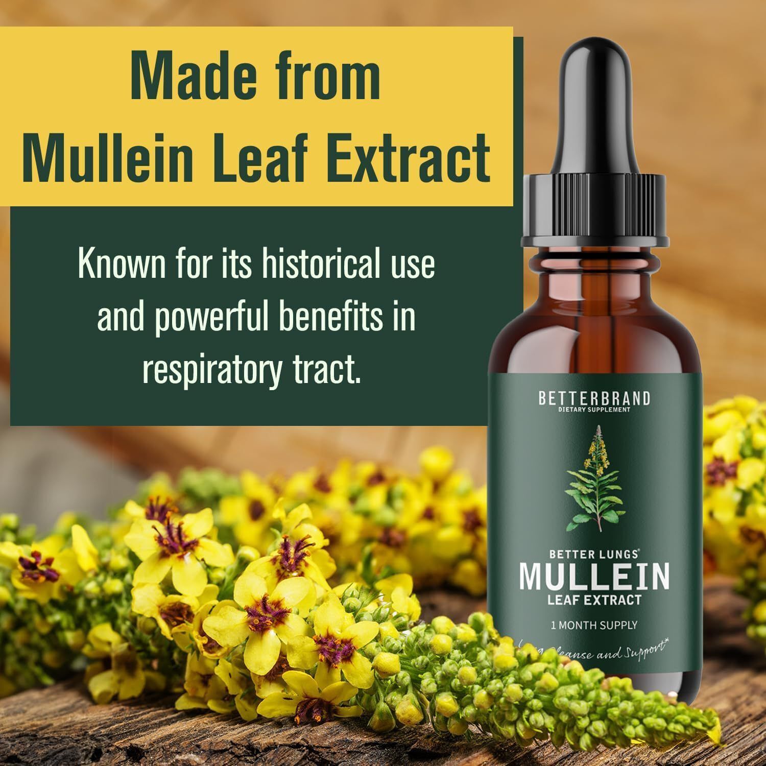 Mullein Leaf Extract Drops All-natural Ingredients Health Care