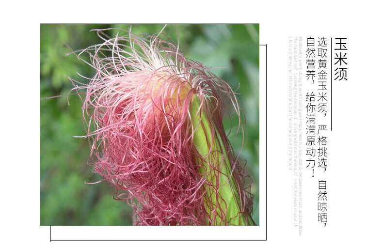 Cherry Blossom Dandelion Cornhusk Chrysanthemum Tea Herbal Tea Bags 150g/5.29oz