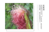 Cherry Blossom Dandelion Cornhusk Chrysanthemum Tea Herbal Tea Bags 150g/5.29oz