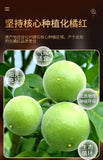 110g Huazhou Tomentose Pummelo Peel Slice Hua Ju Hong Citri Grandis Exocarpium