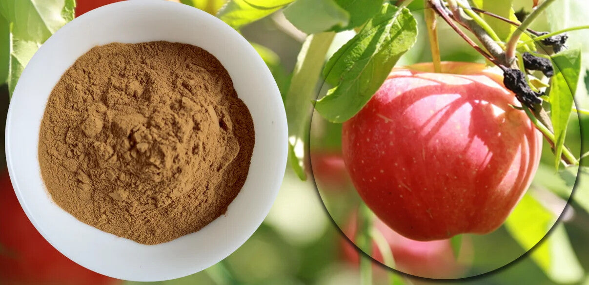Apple Peel Extract Organic Apple Polyphenol Apple Peel Extract Powder 250g