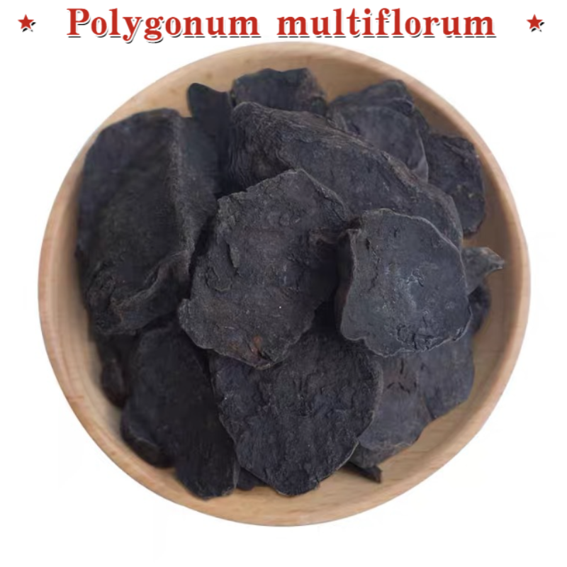 High Quality China He Shou Wu Fo-Ti Polygonum multiflorum Loose Root Slice 500g