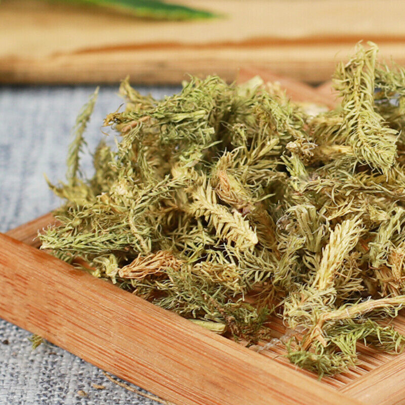 500g Shenjincao Healthy Original Herbal Tea Shujincao 精选伸筋草 舒筋草 Healthy Drink