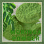 500G ORGANIC MORINGA OLEIFERA LEAF POWDER Premium Quality - Wholesale Price