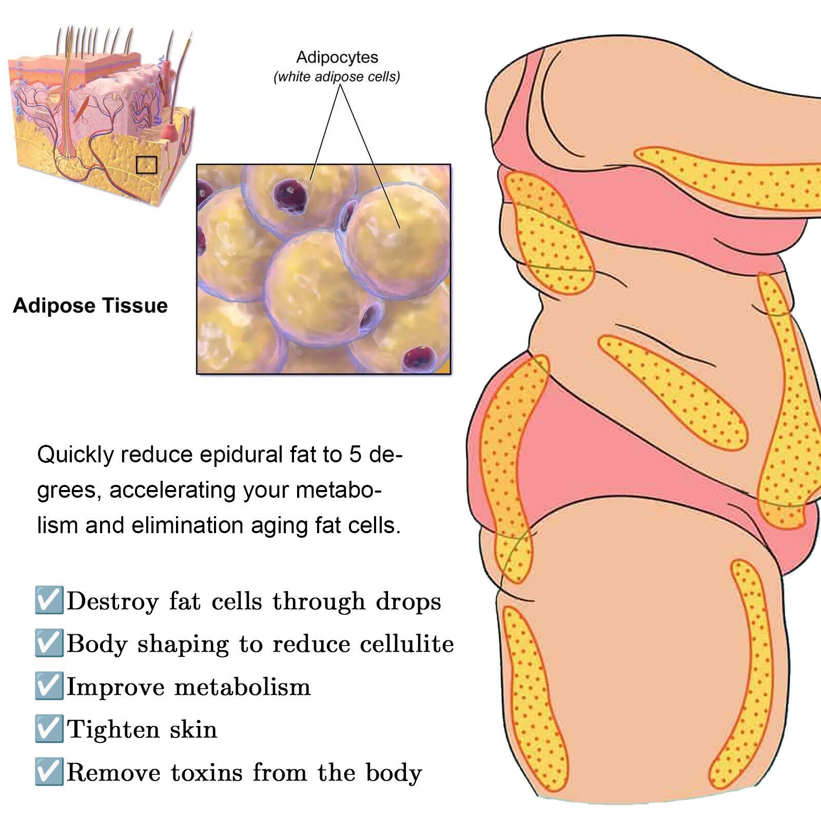 EPA-3 Slimming Drops Body Shaping Drops - Firm Arms, Thighs, and Waist