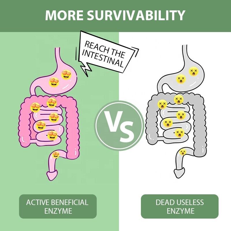 Slimming Tea Enzyme  Herbal Powder Flat Belly Lose Weight Detox Juice Tea 6g*12