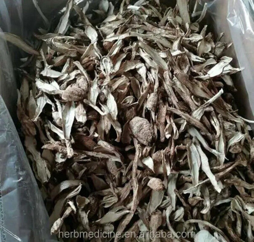 500g Organic Shaggy Mane Coprinus Comatus Mull Fr Gray Dried Mushroom