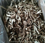 500g Organic Shaggy Mane Coprinus Comatus Mull Fr Gray Dried Mushroom