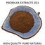 500g High quality Pure Psoralea Extract 20:1 Powder Sealed Packaging