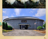 125g White Fungus Dry Goods Fresh Gutian White Fungus Sulfur-free Snow Fungus