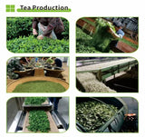 100G Pu'er Raw Cake Tea Wuliangshan Pu'er Raw Ancient Tree Qizi Cake Tea