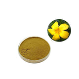 100g Damiana Extract 10:1 Powder - Turnera Diffusa Leaf | Pure & Natural