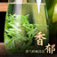 Rich Longjing Green Tea Mingqian Spring Good Tea Canned Tea Loose Tea 50G