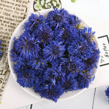 Blue Hibiscus Dried Flowers Cornflower Dried Petals Sapphire Bulk 500g