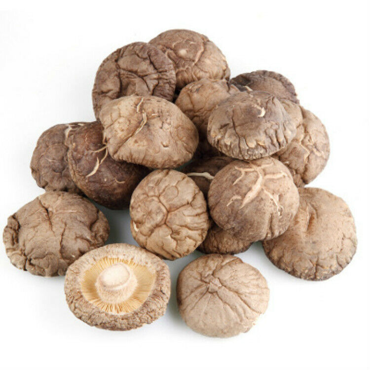 Chinese Glossy Mushroom Dried Mushroom 4-5cm Fujina Winter Dried Shiitake 250g