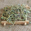 Dried Euphorbiae Hirtae Herba, Garden Euphorbia, Euphorbia hirta L. Fei Yang Cao