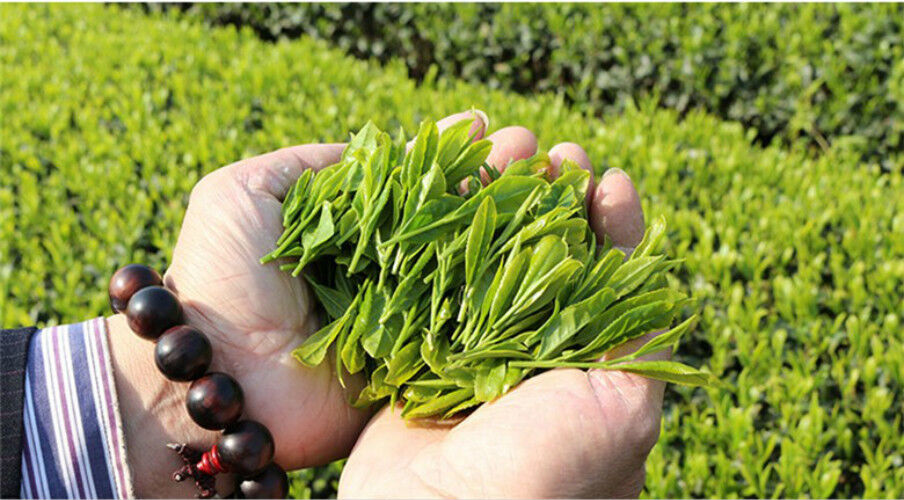 100g Top Grade Dragon Well Tea Long Jing Spring Green Tea West Lake Longjing Tea