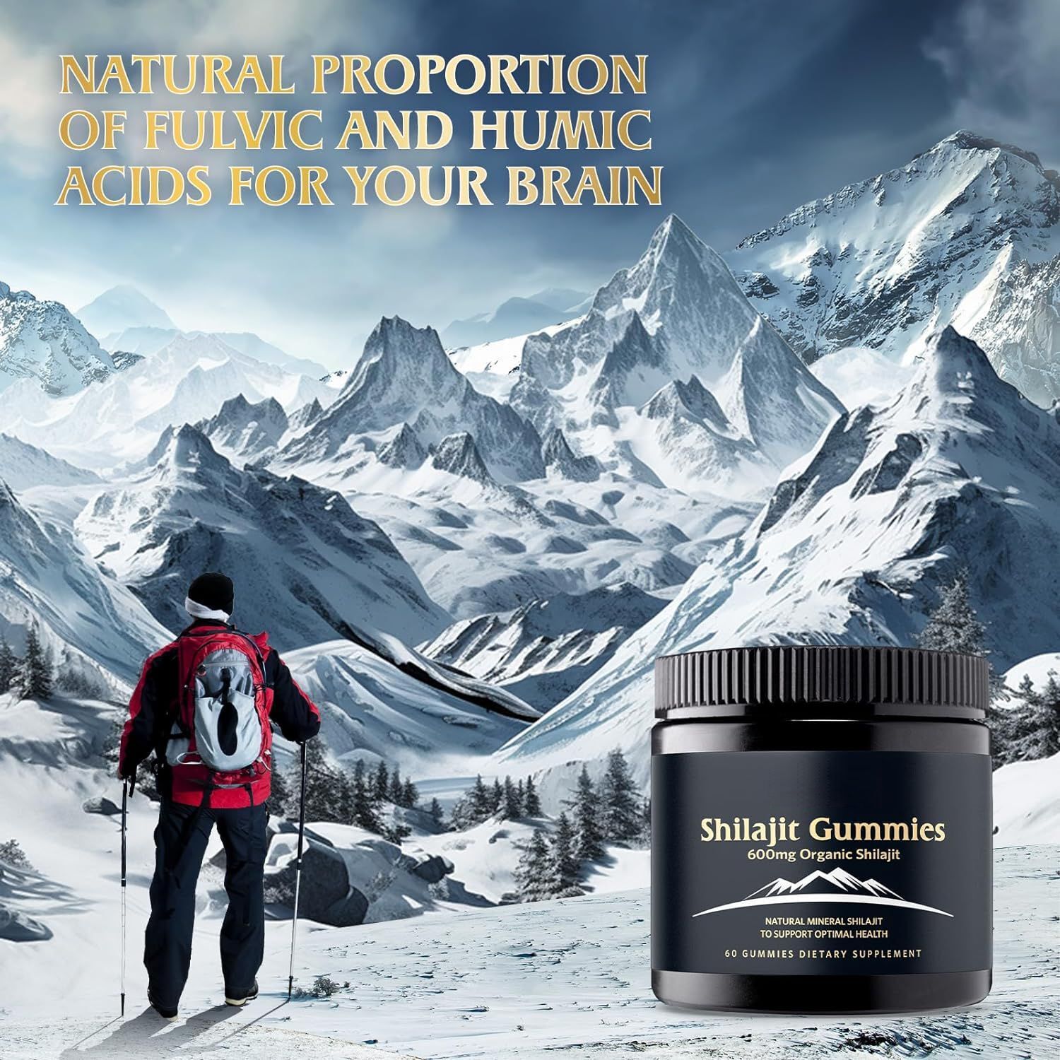 Himalaya Shilajit Gummies, Bio, extrem wirksam, Energie steigern, Stressabbau