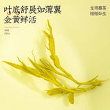 Sprout Tip Berry Tea Longshu Tender Sprouts Selenium Enriched Vine Tea 80g