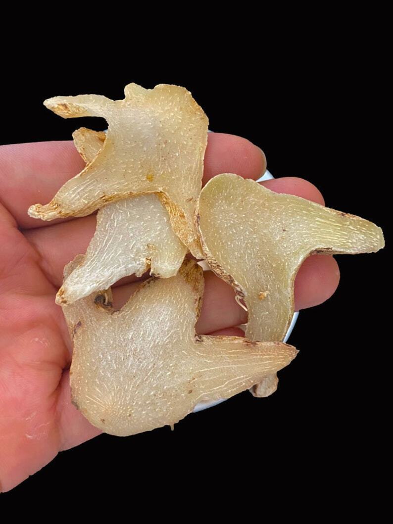 100g Organic Dried Bletilla Striata Bletilla Pseudobulb Rhizoma Bletillae Bai Ji