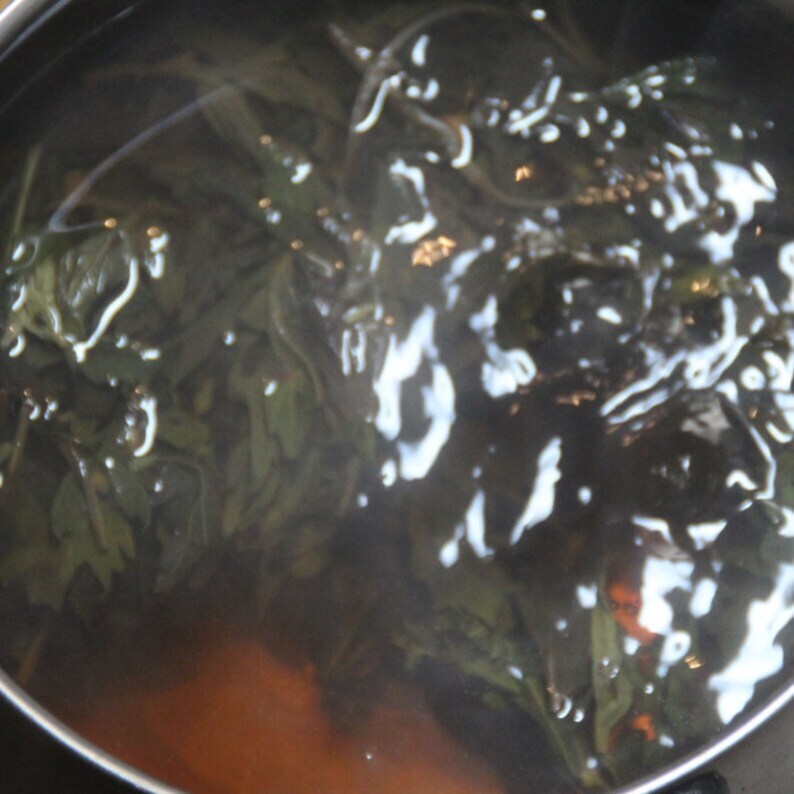 500g Wormwood / Artemisia Absinthium Dried Bulk Herbs Ai Ye