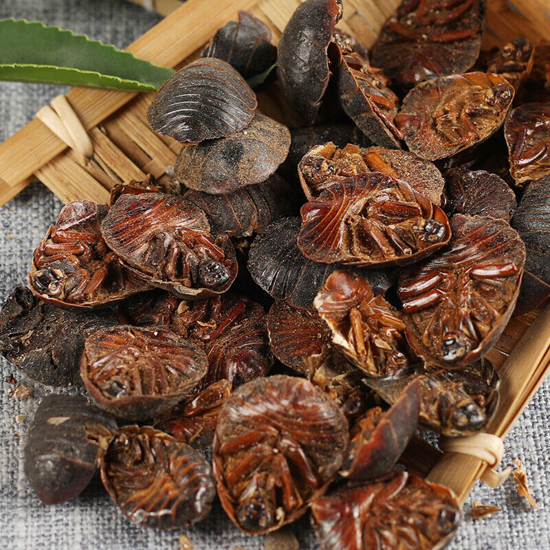 250g/8.8oz Organic Specialty Natural Organic Healthy Drink Health Care Zhe Chong