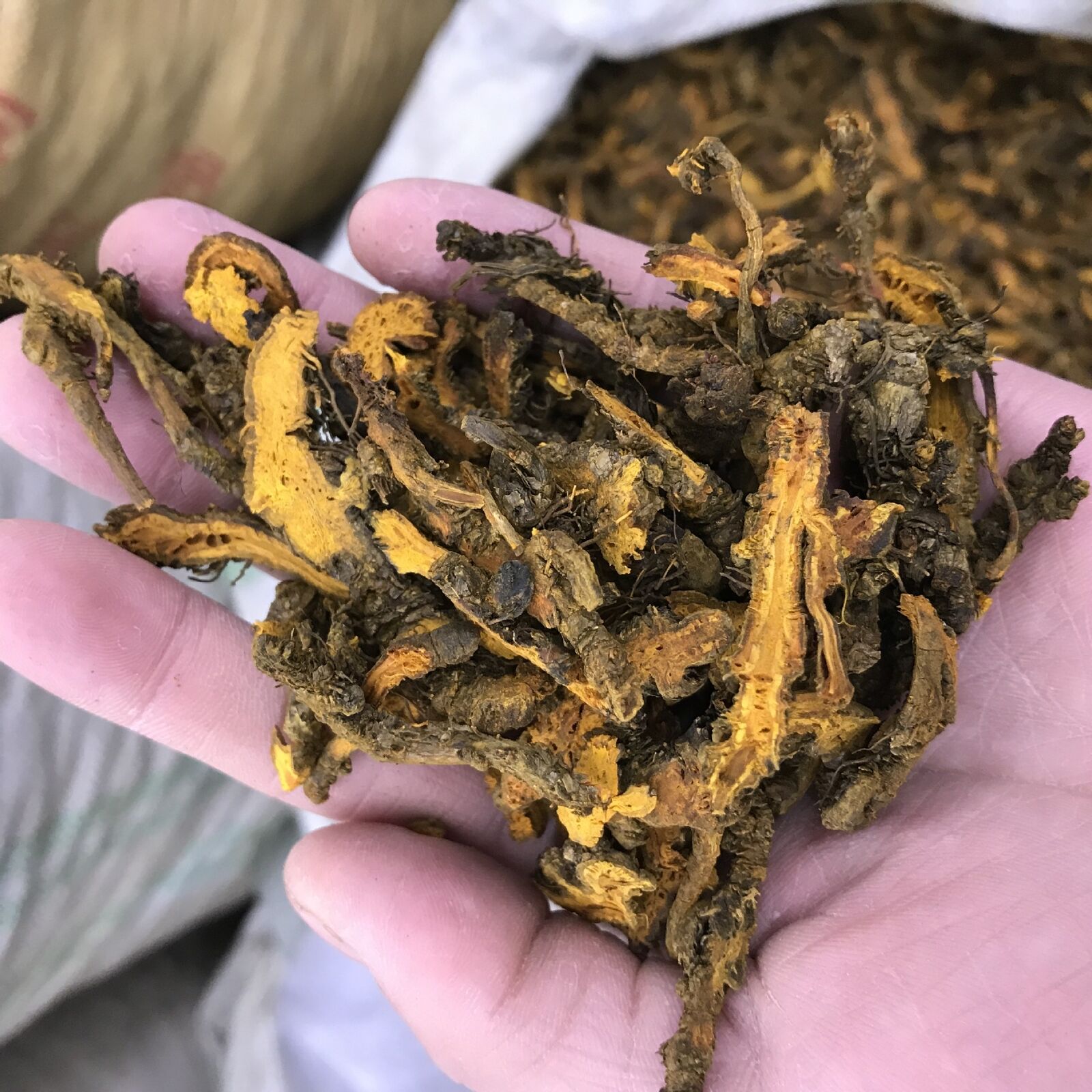 Chinese Herbal Medicine Huanglian Monocotyledon Yellow Lian Selected Slices 500g