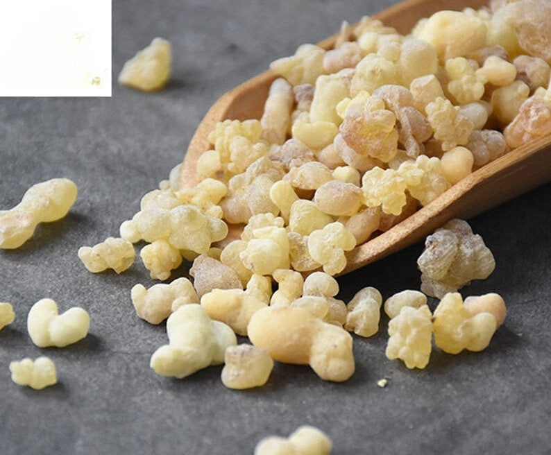 500g Ru Xiang /乳香/ Frankincense | Boswellia thurifera 1.1lb