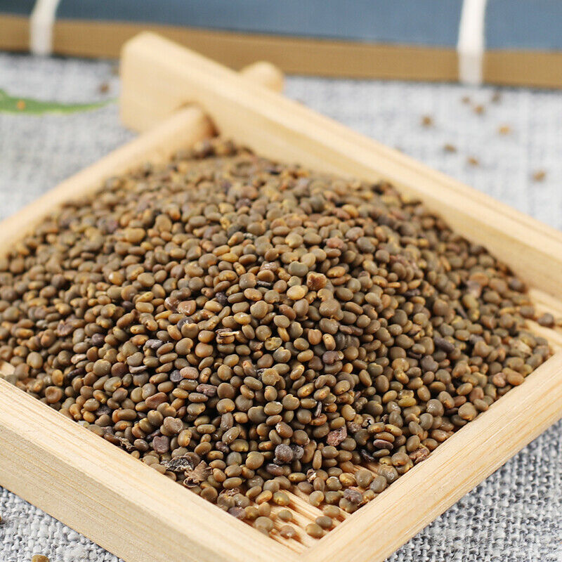 250g Shawanzi 100% Organic Healthy Herbal Tea 沙宛子 Health Care Chinese specialty